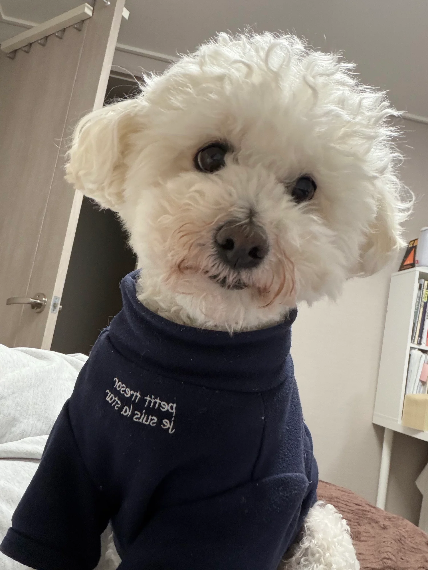 둥둥이